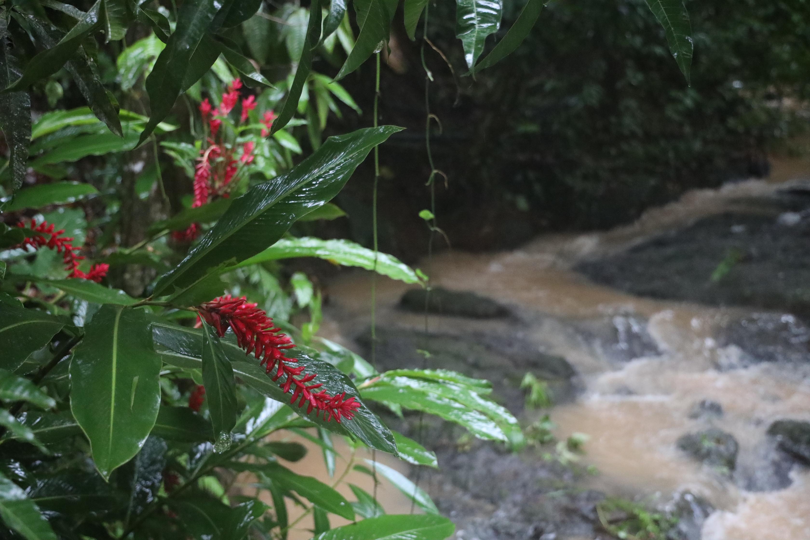 Byblos Bungalows&Suites Manuel Antonio Exterior foto